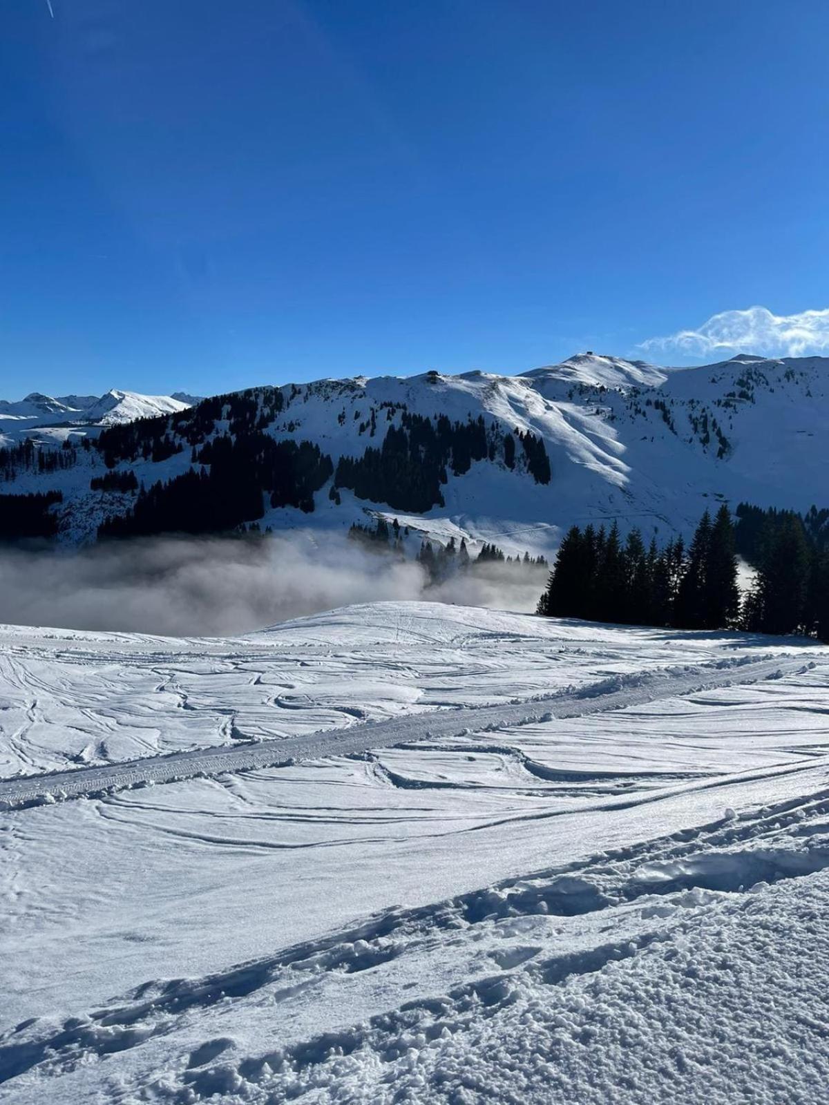 Geniessen Sie Bergblick & Sauna Im Modernen Chalet Going am Wilden Kaiser Eksteriør billede
